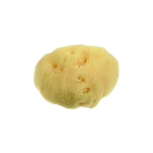 Spugna del Mar Mediterraneo Fine Dama 10cm