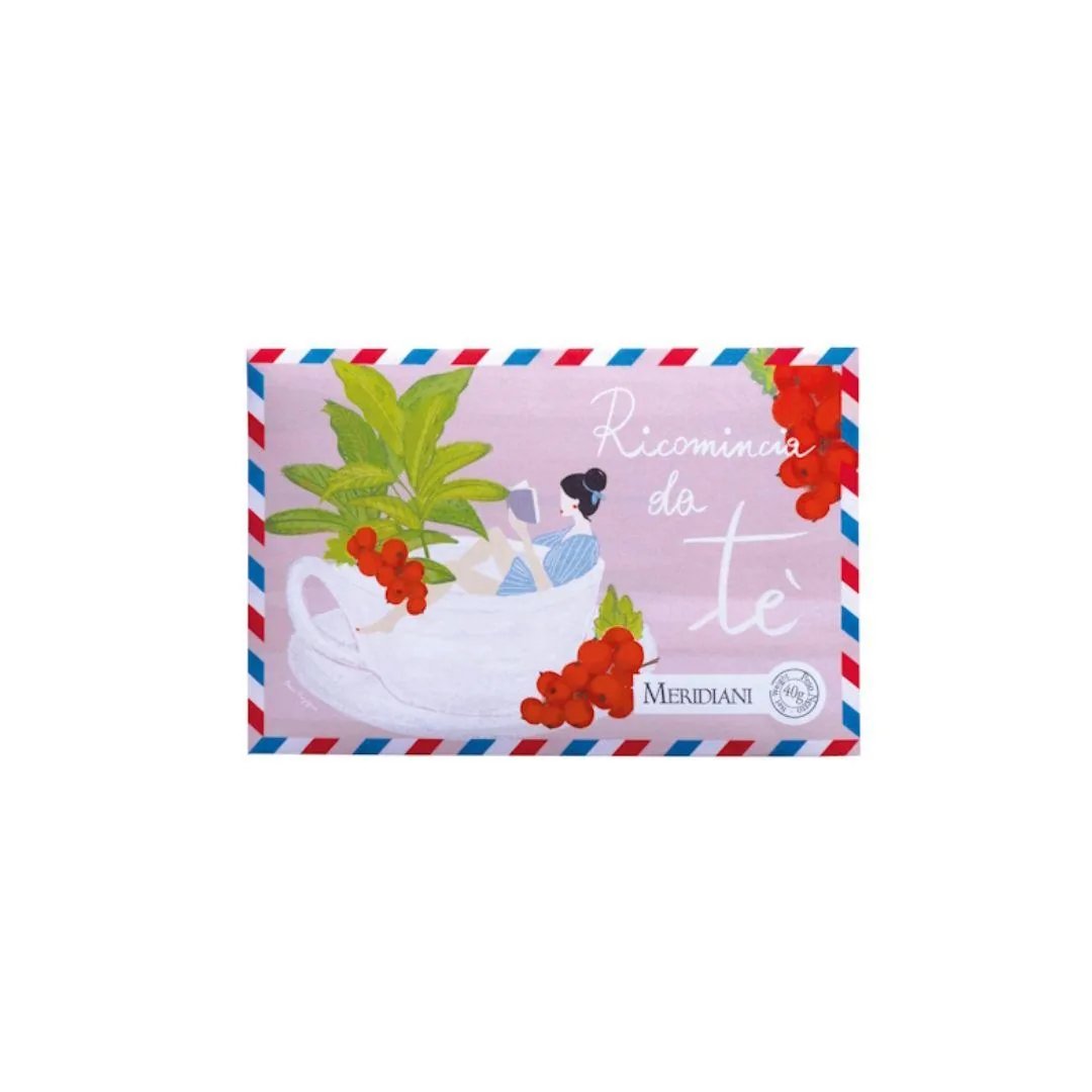 Infuso Profumo di Bosco Busta